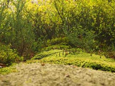 Cửa hàng nhỏ Việt Nam